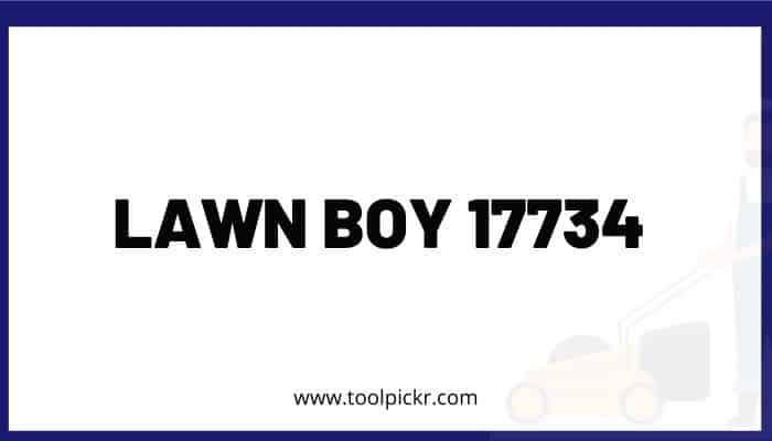 Lawn Boy 17734