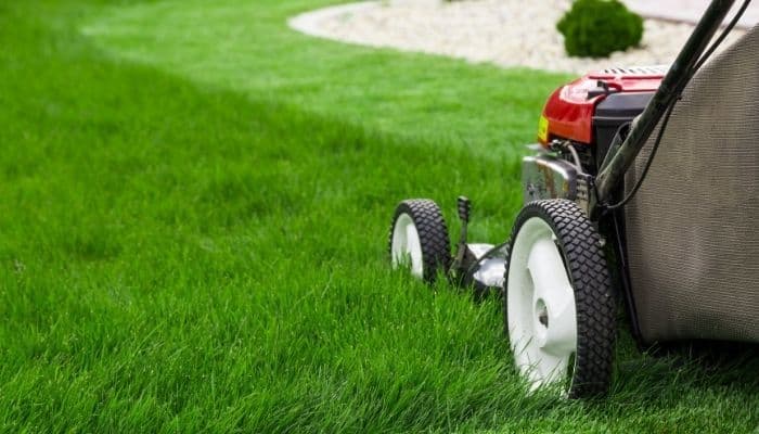 Best Gas Lawn Mower