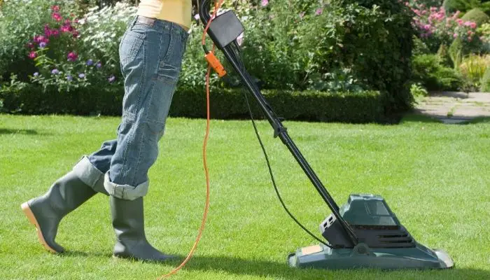 Best Lawn Mower For Small Yard