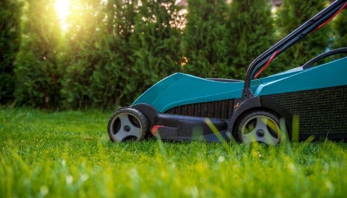 Best Mulching Lawn Mower