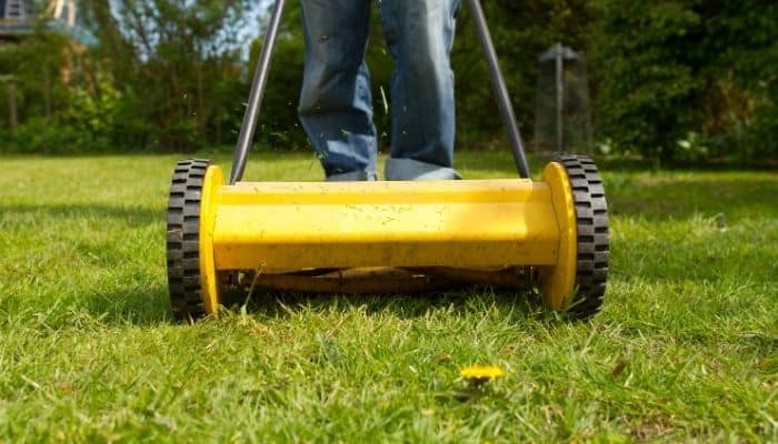 Best Reel Mower